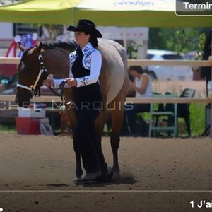 Meet your Posher, Élizabeth carrier